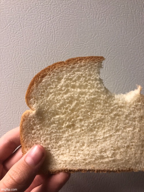 all hail The Bread | made w/ Imgflip meme maker