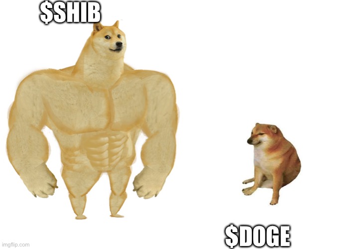 $SHIB VS $DOGE | $SHIB; $DOGE | image tagged in big dog small dog,crypto,bullish | made w/ Imgflip meme maker