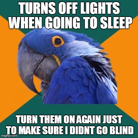 Paranoid Parrot Meme | TURNS OFF LIGHTS WHEN GOING TO SLEEP TURN THEM ON AGAIN JUST TO MAKE SURE I DIDNT GO BLIND | image tagged in memes,paranoid parrot,AdviceAnimals | made w/ Imgflip meme maker