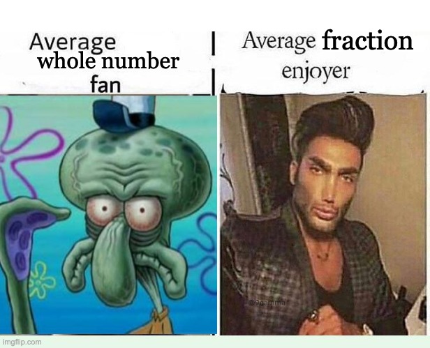fraction; whole number | image tagged in average blank fan vs average blank enjoyer,math,fractions | made w/ Imgflip meme maker