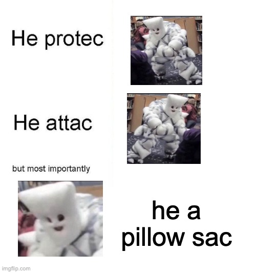 May Pillow Man protect your bedroom tonight | he a pillow sac | image tagged in he protec,memes,unfunny | made w/ Imgflip meme maker