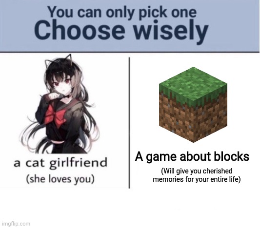 Choose wisely | A game about blocks; (Will give you cherished memories for your entire life) | image tagged in choose wisely | made w/ Imgflip meme maker