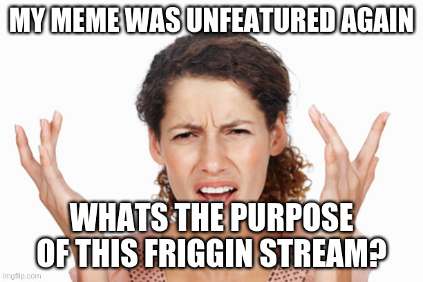 Indignant | MY MEME WAS UNFEATURED AGAIN; WHATS THE PURPOSE OF THIS FRIGGIN STREAM? | image tagged in indignant | made w/ Imgflip meme maker