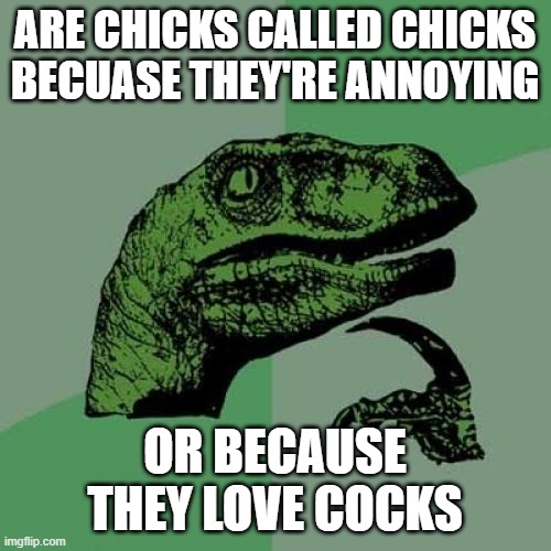 Philosoraptor Meme | ARE CHICKS CALLED CHICKS BECUASE THEY'RE ANNOYING OR BECAUSE THEY LOVE COCKS | image tagged in memes,philosoraptor | made w/ Imgflip meme maker