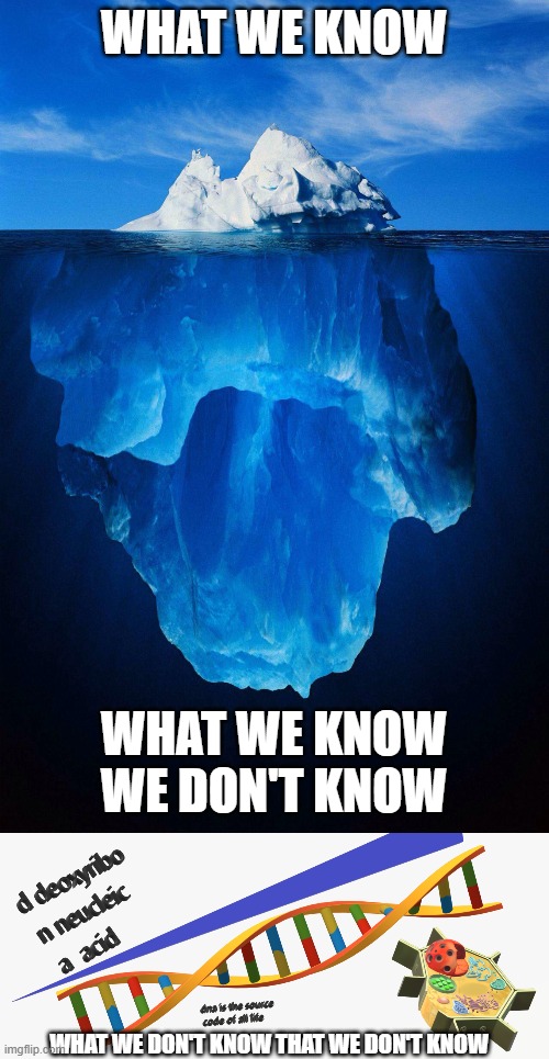 halo meme | WHAT WE KNOW; WHAT WE KNOW WE DON'T KNOW; WHAT WE DON'T KNOW THAT WE DON'T KNOW | image tagged in iceberg | made w/ Imgflip meme maker
