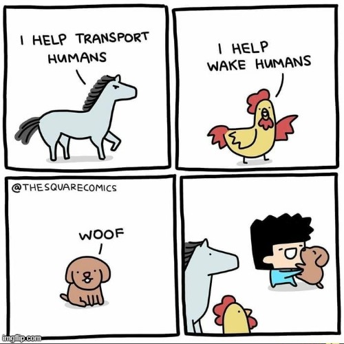 What is your favorite animal> | image tagged in comics | made w/ Imgflip meme maker