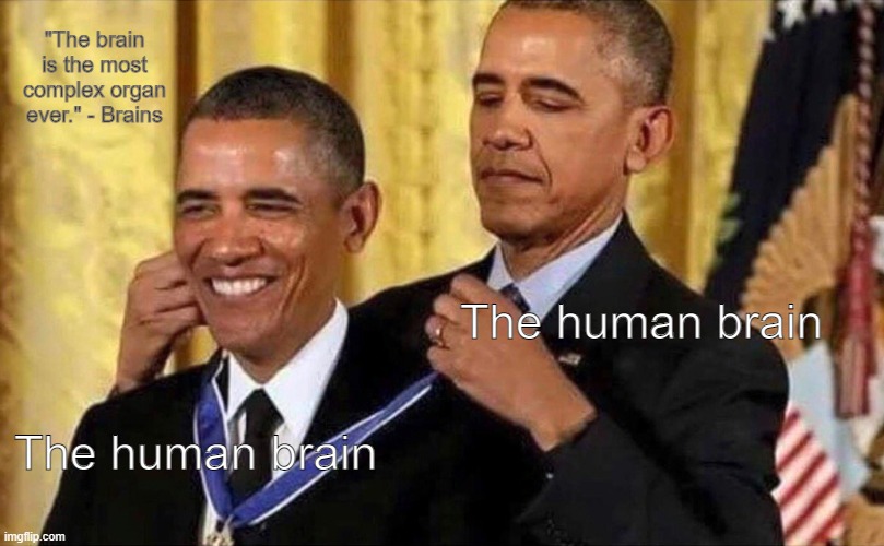 makes sense bro | "The brain is the most complex organ ever." - Brains; The human brain; The human brain | image tagged in obama medal,brain | made w/ Imgflip meme maker