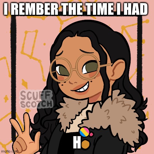 w o | I REMBER THE TIME I HAD; H | image tagged in w o | made w/ Imgflip meme maker