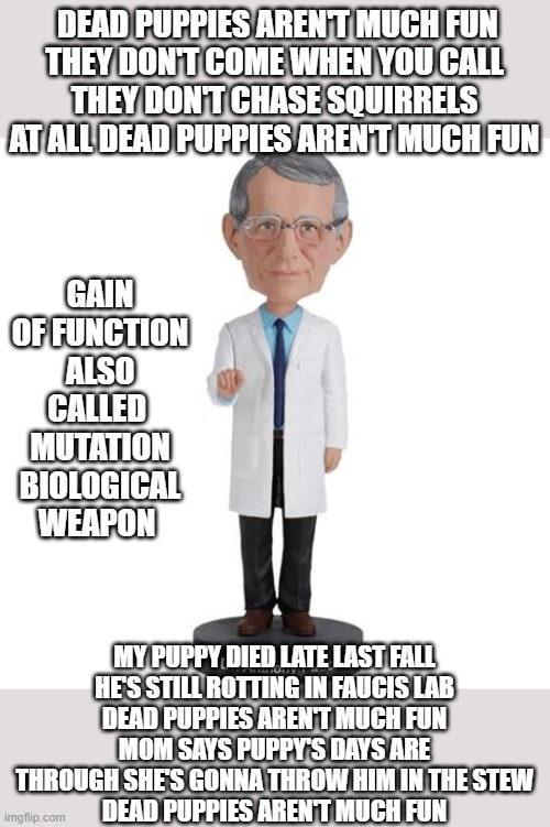 Barbaric Fauci | DEAD PUPPIES AREN'T MUCH FUN
THEY DON'T COME WHEN YOU CALL
THEY DON'T CHASE SQUIRRELS AT ALL DEAD PUPPIES AREN'T MUCH FUN; GAIN OF FUNCTION ALSO CALLED  MUTATION BIOLOGICAL WEAPON; MY PUPPY DIED LATE LAST FALL
HE'S STILL ROTTING IN FAUCIS LAB
DEAD PUPPIES AREN'T MUCH FUN
MOM SAYS PUPPY'S DAYS ARE THROUGH SHE'S GONNA THROW HIM IN THE STEW
DEAD PUPPIES AREN'T MUCH FUN | image tagged in dr fauci,taxpayer,sad puppy,puppy monkey baby,dr evil | made w/ Imgflip meme maker