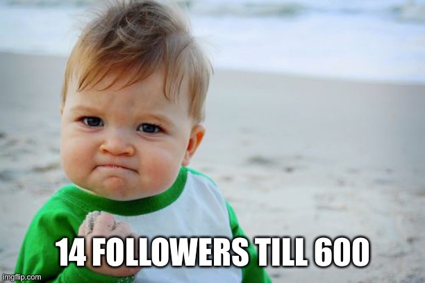 What shall we do for 600? | 14 FOLLOWERS TILL 600 | image tagged in memes,success kid original | made w/ Imgflip meme maker