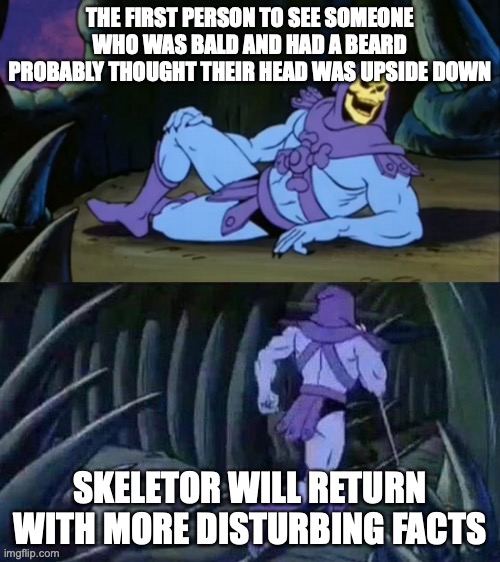 Skeletor disturbing facts | THE FIRST PERSON TO SEE SOMEONE WHO WAS BALD AND HAD A BEARD PROBABLY THOUGHT THEIR HEAD WAS UPSIDE DOWN; SKELETOR WILL RETURN WITH MORE DISTURBING FACTS | image tagged in skeletor disturbing facts | made w/ Imgflip meme maker