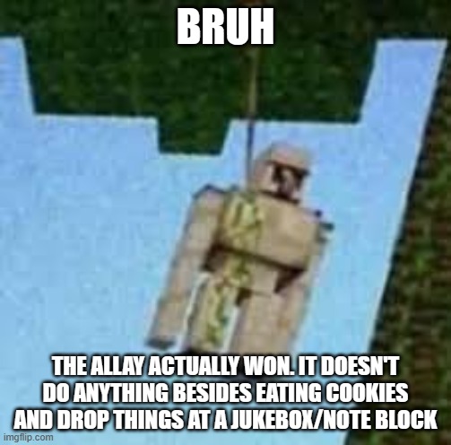 Bruhhhhhhhhhhhhhhh | BRUH; THE ALLAY ACTUALLY WON. IT DOESN'T DO ANYTHING BESIDES EATING COOKIES AND DROP THINGS AT A JUKEBOX/NOTE BLOCK | image tagged in iron golem hanging | made w/ Imgflip meme maker