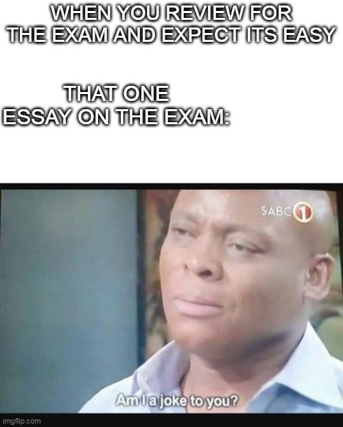 nooooooooo | WHEN YOU REVIEW FOR THE EXAM AND EXPECT ITS EASY; THAT ONE ESSAY ON THE EXAM: | image tagged in am i a joke to you | made w/ Imgflip meme maker