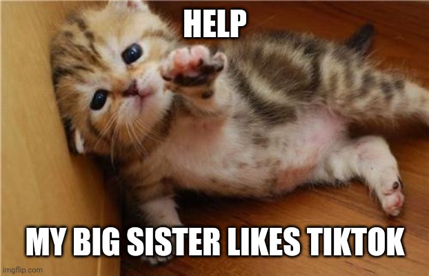 Help Me Kitten | HELP; MY BIG SISTER LIKES TIKTOK | image tagged in help me kitten | made w/ Imgflip meme maker