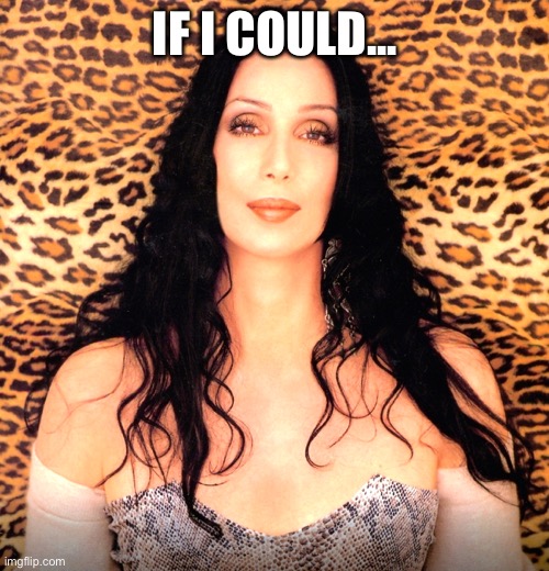 Turn back time | IF I COULD... | image tagged in please cher,cher | made w/ Imgflip meme maker