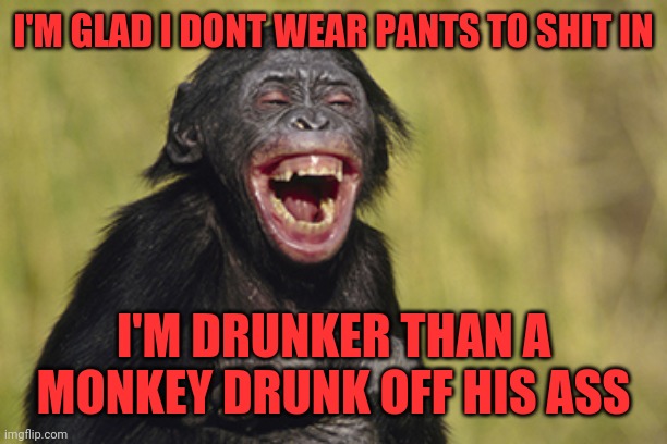 Drunken monkey style | I'M GLAD I DONT WEAR PANTS TO SHIT IN; I'M DRUNKER THAN A MONKEY DRUNK OFF HIS ASS | image tagged in my reaction when my crush tells old joke,monkey,drunk,aids,shenanigans | made w/ Imgflip meme maker