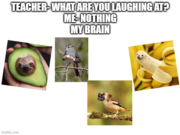 my brain rn | TEACHER- WHAT ARE YOU LAUGHING AT?
ME- NOTHING
MY BRAIN | image tagged in blank white template | made w/ Imgflip meme maker