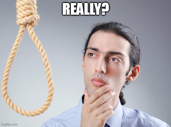 noose | REALLY? | image tagged in noose | made w/ Imgflip meme maker
