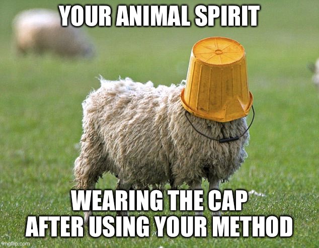 stupid sheep | YOUR ANIMAL SPIRIT WEARING THE CAP AFTER USING YOUR METHOD | image tagged in stupid sheep | made w/ Imgflip meme maker