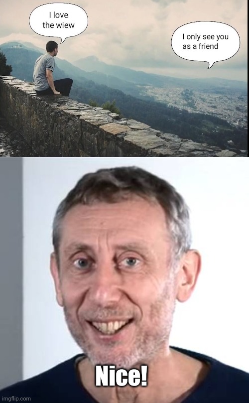 I meant view and wiew... | Nice! | image tagged in nice michael rosen | made w/ Imgflip meme maker