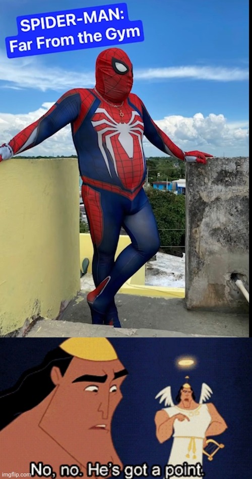 Spiderman | image tagged in no no he s got a point | made w/ Imgflip meme maker