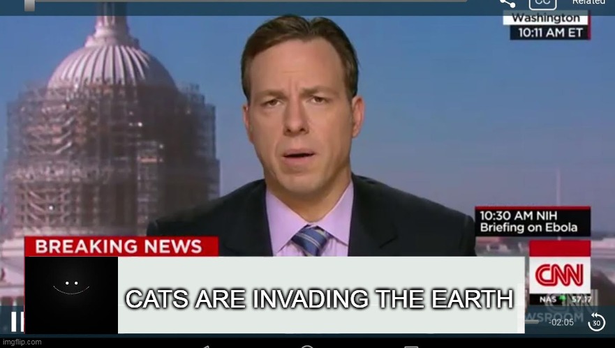 cnn breaking news template | CATS ARE INVADING THE EARTH | image tagged in cnn breaking news template | made w/ Imgflip meme maker