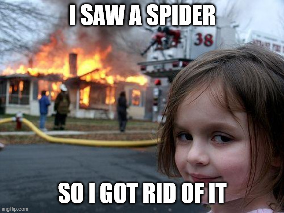 hi | I SAW A SPIDER; SO I GOT RID OF IT | image tagged in memes,disaster girl | made w/ Imgflip meme maker
