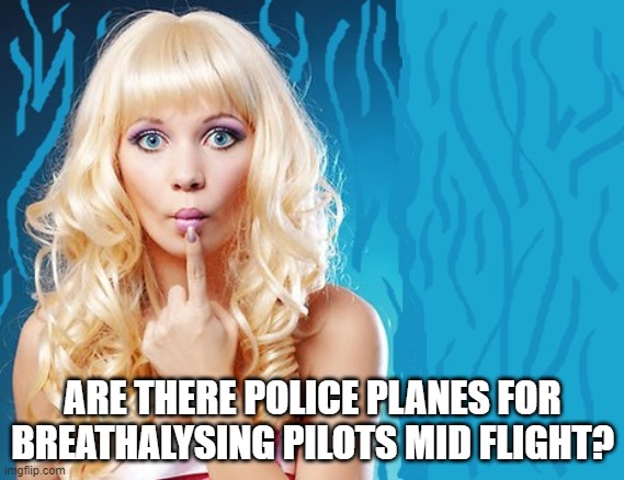 ditzy blonde | ARE THERE POLICE PLANES FOR BREATHALYSING PILOTS MID FLIGHT? | image tagged in ditzy blonde | made w/ Imgflip meme maker