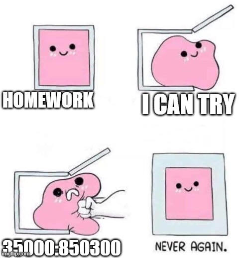 Never again | HOMEWORK; I CAN TRY; 35000:850300 | image tagged in never again | made w/ Imgflip meme maker