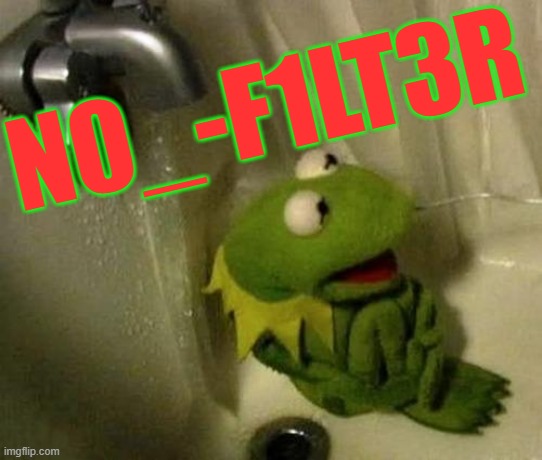 n0_-f1Lt3r | N0_-F1LT3R | image tagged in kermit on shower | made w/ Imgflip meme maker