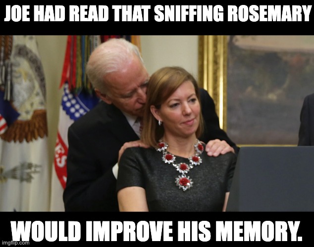 No...  It's supposed to be the herb! | JOE HAD READ THAT SNIFFING ROSEMARY; WOULD IMPROVE HIS MEMORY. | image tagged in joe biden sniffs hair | made w/ Imgflip meme maker