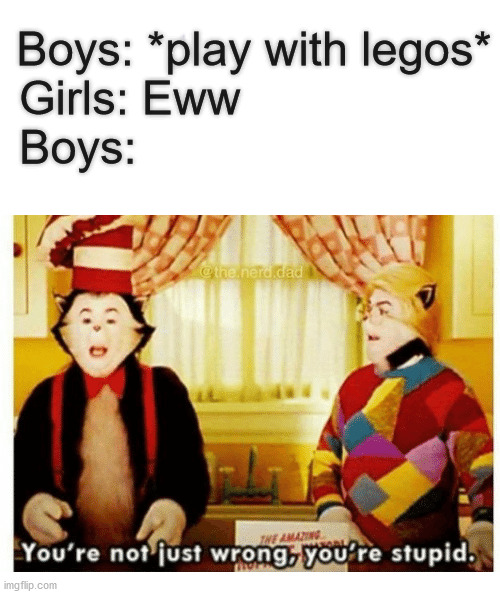 Seriously, there's nothing disgusting about legos |  Boys: *play with legos*
Girls: Eww                   
Boys: | image tagged in you're not just wrong your stupid,boys vs girls | made w/ Imgflip meme maker