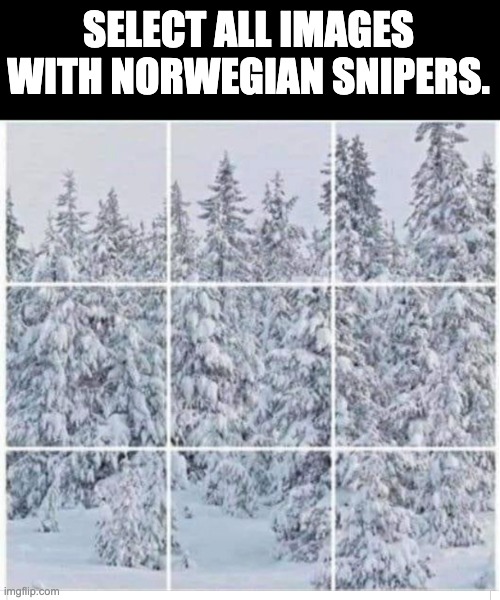 Security check | SELECT ALL IMAGES WITH NORWEGIAN SNIPERS. | image tagged in security | made w/ Imgflip meme maker