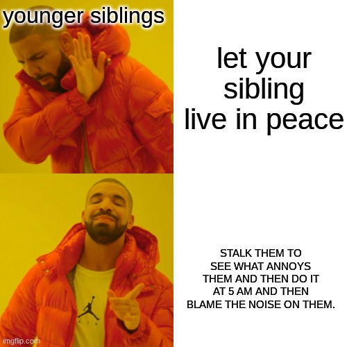 siblings be like. | younger siblings; let your sibling live in peace; STALK THEM TO SEE WHAT ANNOYS THEM AND THEN DO IT AT 5 AM AND THEN BLAME THE NOISE ON THEM. | image tagged in memes,drake hotline bling | made w/ Imgflip meme maker
