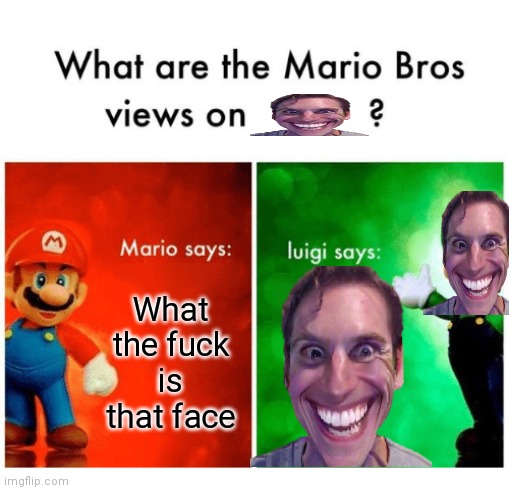 Mario bros views | What the fuck is that face | image tagged in mario bros views | made w/ Imgflip meme maker