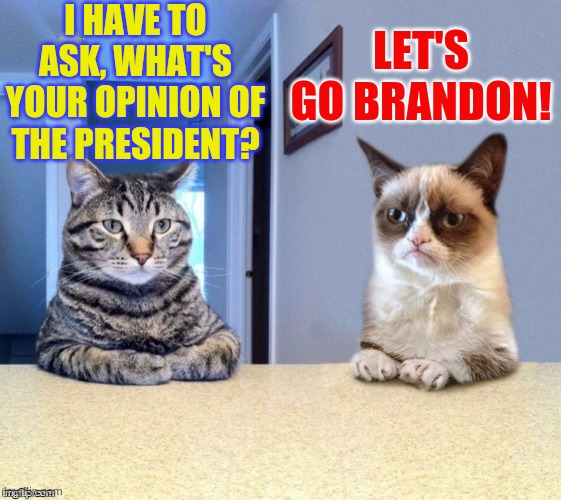 Take a seat cat and grumpy cat review |  I HAVE TO ASK, WHAT'S YOUR OPINION OF THE PRESIDENT? LET'S GO BRANDON! | image tagged in memes,cats,politics,grumpy cat,opinion,lets go brandon | made w/ Imgflip meme maker