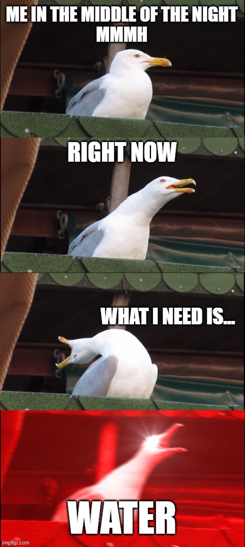 Inhaling Seagull Meme | ME IN THE MIDDLE OF THE NIGHT
MMMH; RIGHT NOW; WHAT I NEED IS... WATER | image tagged in memes,inhaling seagull,water,night | made w/ Imgflip meme maker