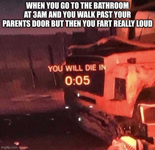 You will die in 0:05 | WHEN YOU GO TO THE BATHROOM AT 3AM AND YOU WALK PAST YOUR PARENTS DOOR BUT THEN YOU FART REALLY LOUD | image tagged in you will die in 0 05,3am | made w/ Imgflip meme maker