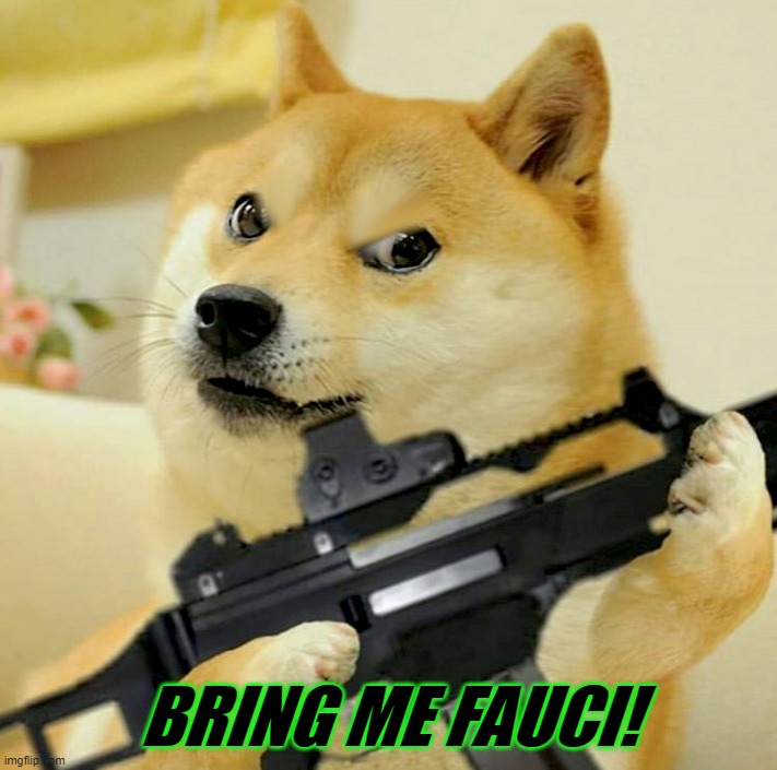 BRING ME FAUCI! | image tagged in doge,fauci,animal abuse,peta,greed,vivisection | made w/ Imgflip meme maker