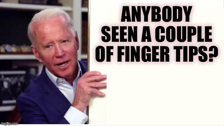 Tippy Tippy Pause | ANYBODY SEEN A COUPLE OF FINGER TIPS? | image tagged in biden behind his wall | made w/ Imgflip meme maker