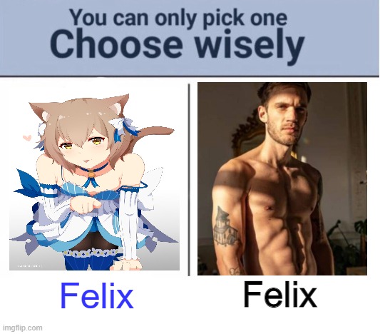 choose your Felix | Felix; Felix | image tagged in choose wisely,1 or 2 | made w/ Imgflip meme maker