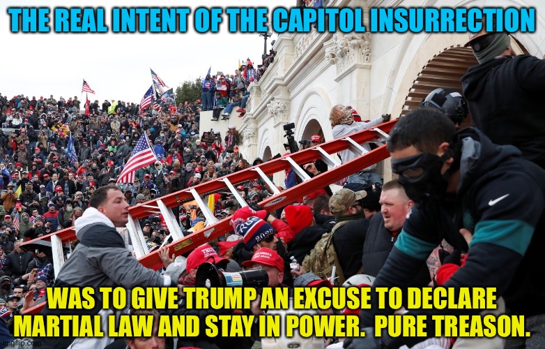 It didn't work out that way though | THE REAL INTENT OF THE CAPITOL INSURRECTION; WAS TO GIVE TRUMP AN EXCUSE TO DECLARE MARTIAL LAW AND STAY IN POWER.  PURE TREASON. | image tagged in qanon - insurrection - trump riot - sedition | made w/ Imgflip meme maker