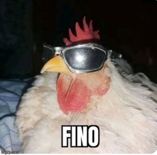 FINO | made w/ Imgflip meme maker