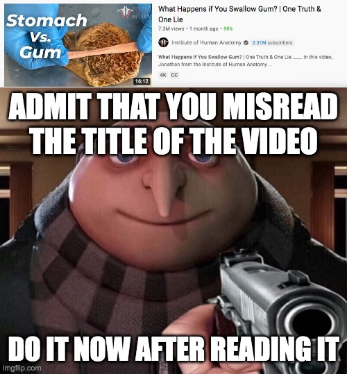 ADMIT THAT YOU MISREAD THE TITLE OF THE VIDEO; DO IT NOW AFTER READING IT | image tagged in gru gun | made w/ Imgflip meme maker