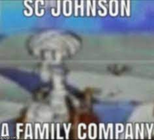 SC JOHNSON | made w/ Imgflip meme maker