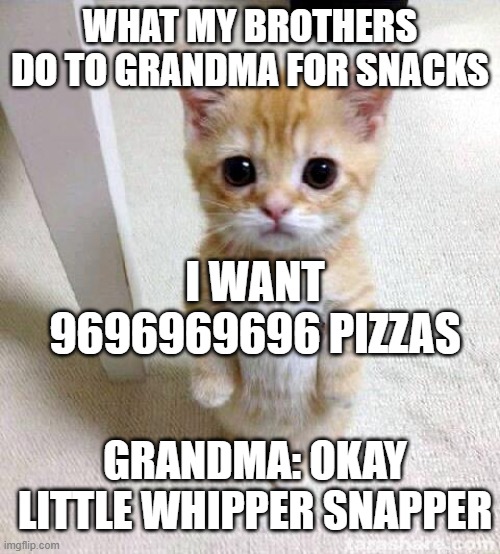 Cute Cat | WHAT MY BROTHERS DO TO GRANDMA FOR SNACKS; I WANT 9696969696 PIZZAS; GRANDMA: OKAY LITTLE WHIPPER SNAPPER | image tagged in memes,cute cat | made w/ Imgflip meme maker