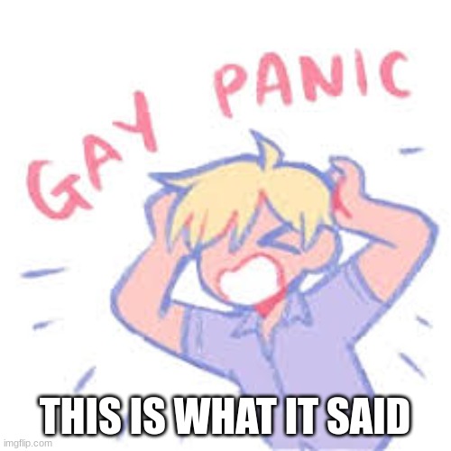 gay panic | THIS IS WHAT IT SAID | image tagged in gay panic | made w/ Imgflip meme maker