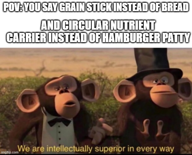 Intelligent Memes #2 |  POV: YOU SAY GRAIN STICK INSTEAD OF BREAD; AND CIRCULAR NUTRIENT CARRIER INSTEAD OF HAMBURGER PATTY | image tagged in we are intellectually superior in every way,memes | made w/ Imgflip meme maker