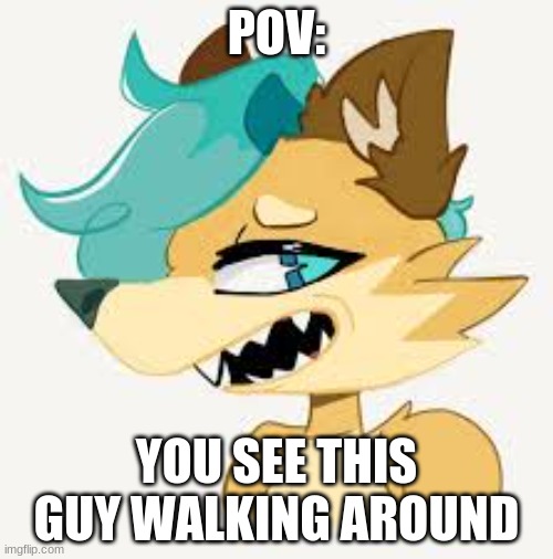 this is my first AU of canine. | POV:; YOU SEE THIS GUY WALKING AROUND | made w/ Imgflip meme maker