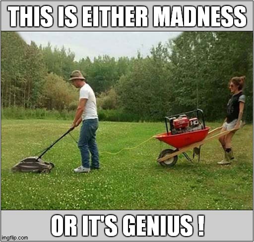You Decide ! | THIS IS EITHER MADNESS; OR IT'S GENIUS ! | image tagged in lawnmower,madness,genius | made w/ Imgflip meme maker